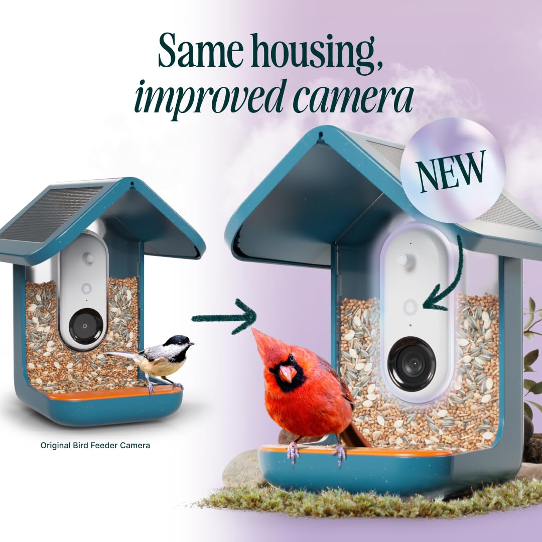 BIRD BUDDY® Original Solar Bird Feeder with Camera - AI Bird Species Identification, 5MP Photos, 2K HD+ Video Live Stream Camera, Solar-Powered Charging, 2.8in Focus - Blue